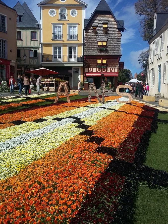 Logis Louisblanc, Muraille Romaine, Lit Queen-size, Centre * Le Mans